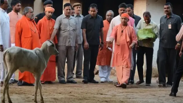योगी आदित्यनाथ, नाथ संप्रदाय, गोरक्षधाम, भाजप, युवा हिंदू वाहिनी, उत्तर प्रदेश
