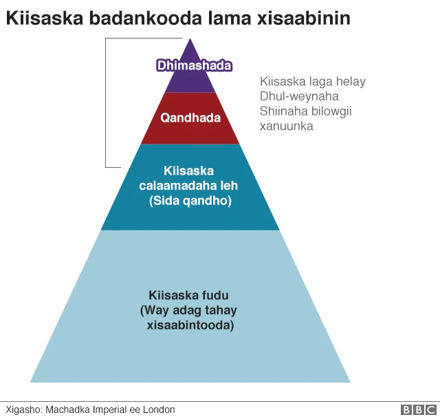 Coronavirus iyo sida loogu dhinto