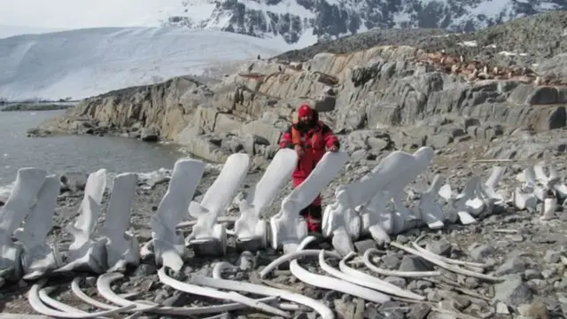 Андрій Утєвський