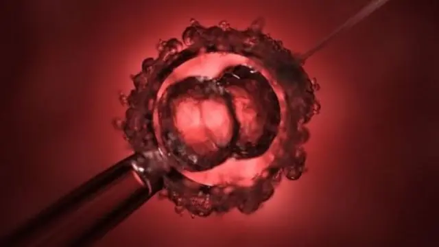 மரபுவழி