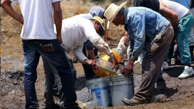 Meksika benzin kaçakçılığı