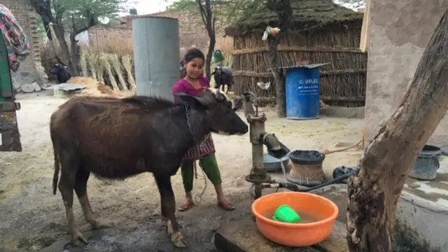 पहलू खां का घर