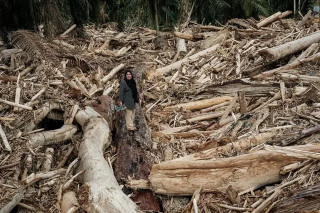 aceh tamiang, banjir sumatra