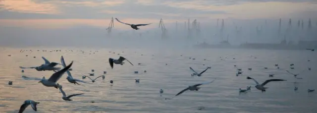 Порт Бердянська