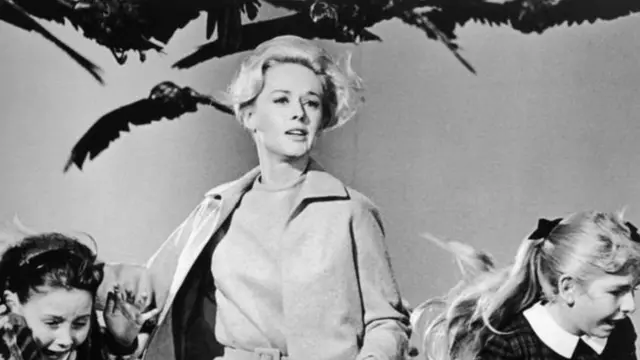 د مرغانو حمله