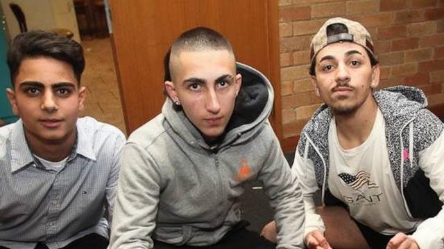 Ziggy e os amigos na festabaixar bet7kaniversário