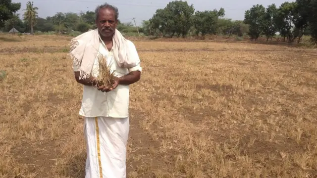 கவலைக்கிடமான நிலையில் தமிழக விவசாயிகள்; விரைந்து செயலாற்றுமா அரசு?