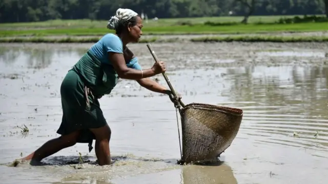 2025ல் இந்தியா 5 ட்ரில்லியன் டாலர் பொருளாதாரமாக உயர்வது சாத்தியமா?