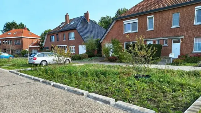 Локалне програме често подрже грађани жељни да виде више зеленила у свом крају