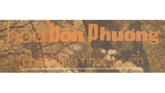 Hoa Bốn Phương