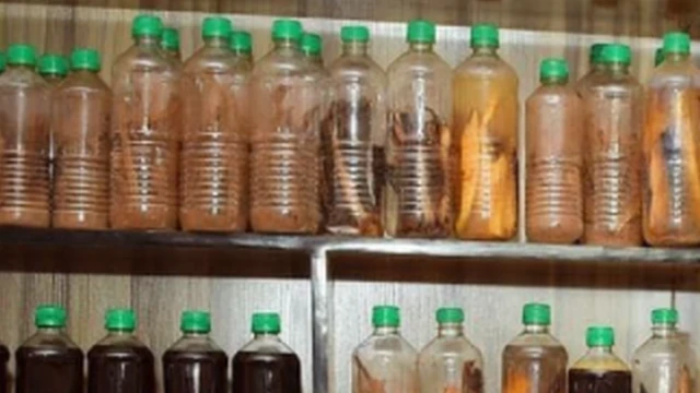 Ọgwụ mgbọrọgwụ