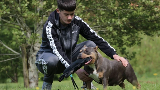 جوشوا هارتي