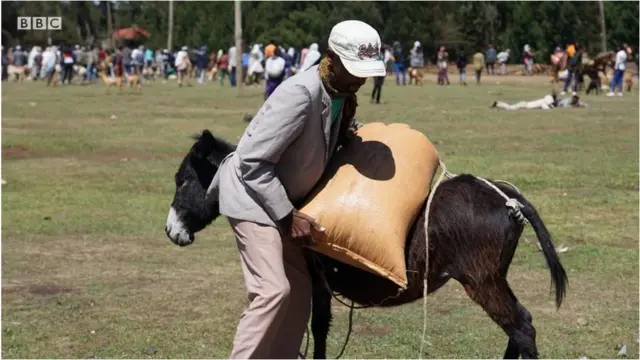 Gabaa Magaalaa Garba Gurraachaa
