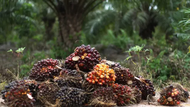 எண்ணெய்