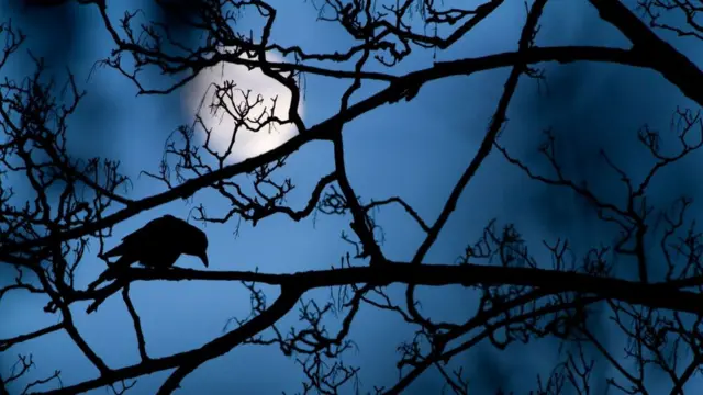 Gideon Knight'ın fotoğrafı