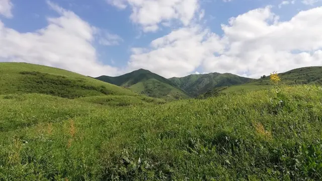 Қирғиз айловлари