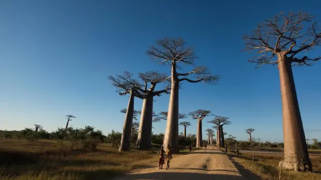 （图片来源：Dave Stamboulis）