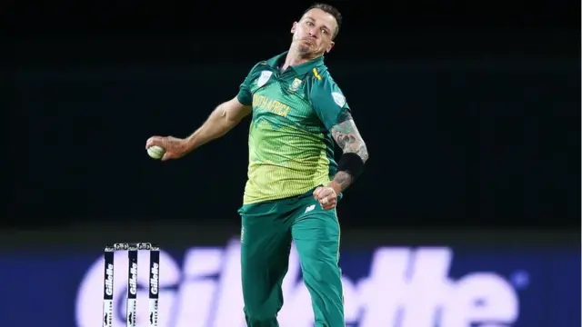 डेल स्टेन, दक्षिण आफ्रिका