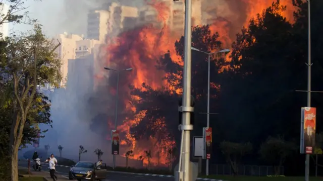 Haifa, Israel, Alhamisi, Nov 24, 2016