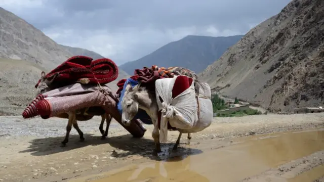 خرې