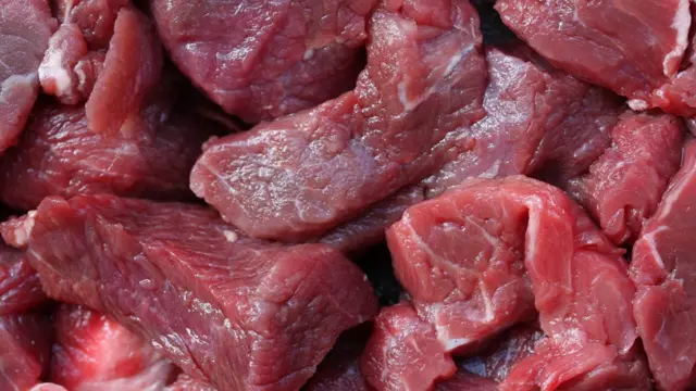 Anụ na-acha ọbara ọbara