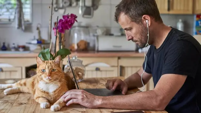 어떤 전문가들은 팬데믹 시기 재택근무 실험이 그 누구의 예상도 뛰어넘을 만큼 성공적이었다고 말한다