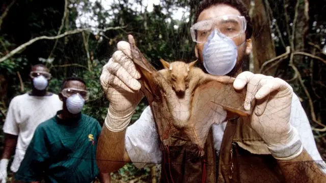 Pesquisador com um morcego capturado.