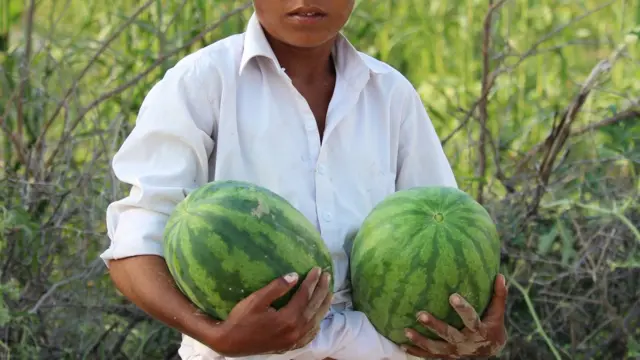 पाकिस्तान, थार, पानी