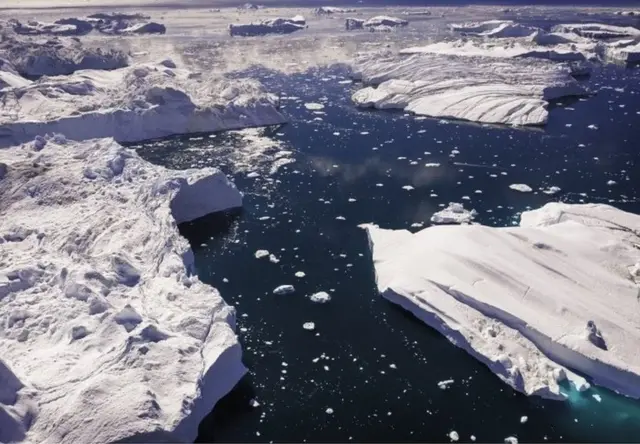 巨大的格陵兰鲨鱼能耐严寒的冰雪海洋。