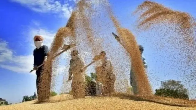 शेतकरी आंदोलन, दिल्ली, पंजाब,