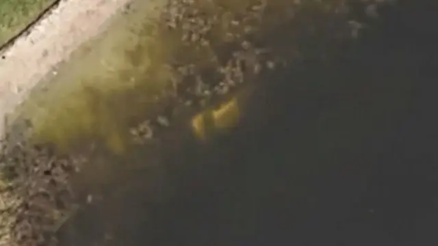 Google Earth