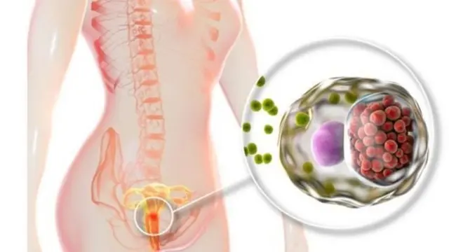 خواتین نظام تولید