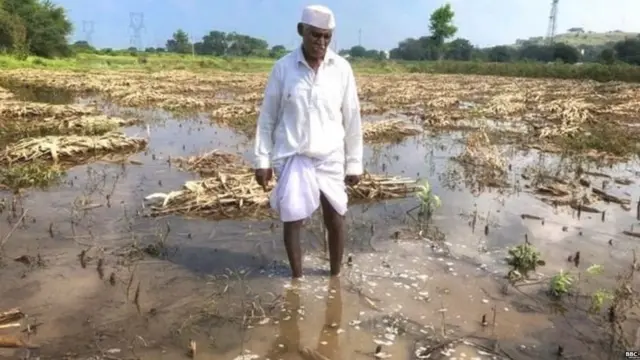 अवकाळी पाऊस, शेतकरी