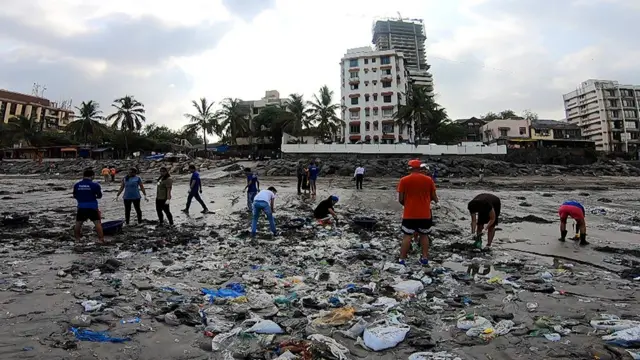 माहीम बीच स्वच्छता