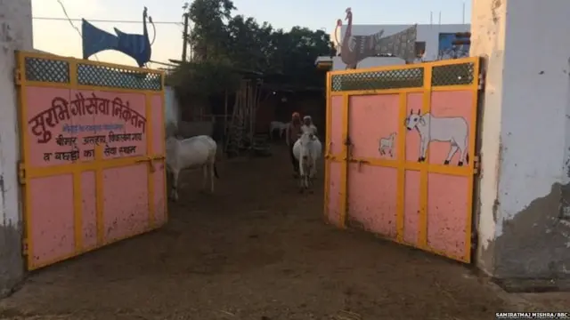सुरभी गौसेवा निकेतन गौशाळा