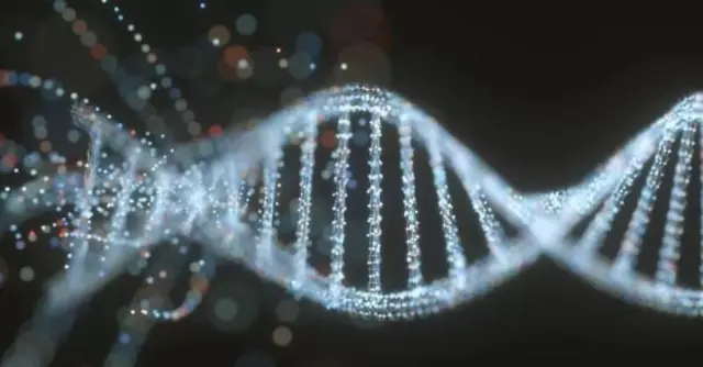 வன்கொடுமை, வேங்கைவயல், தமிழ்நாடு