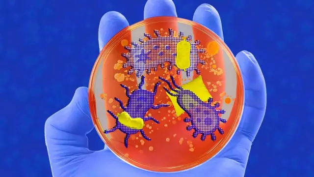 Ilustração de uma mão segurando uma placa com organismos microscópicos, sobre fundo azul