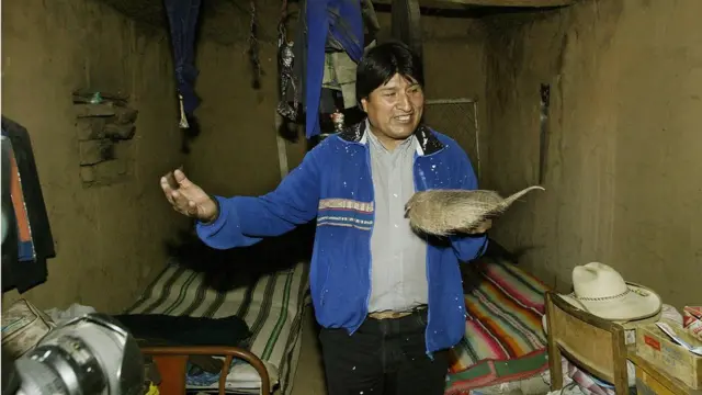 مورالس