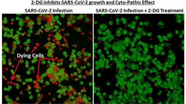 આ દવાનું પરીક્ષણ ગુજરાત સહિત અનેક રાજ્યોમાં કરવામાં આવ્યું હતું.