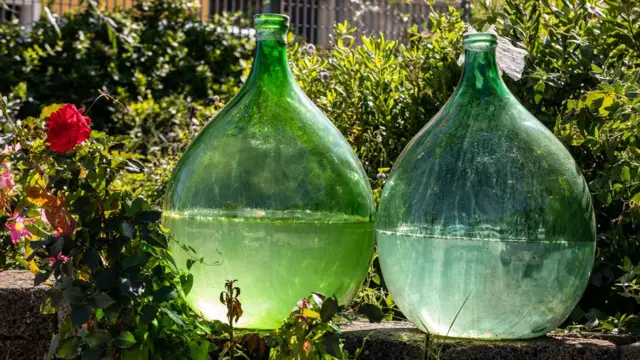 "половинчатые Джоны"