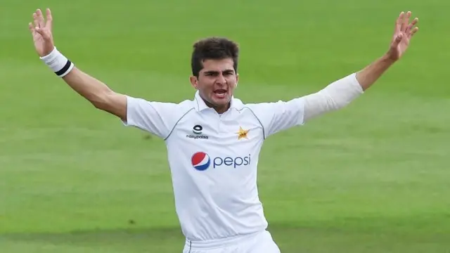 شاہین آفریدی