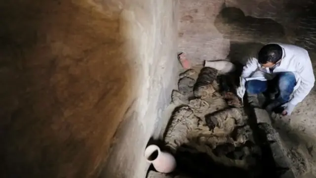 பூனையின் 'மம்மி': நான்காயிரம் ஆண்டு சுவாரஸ்யம்