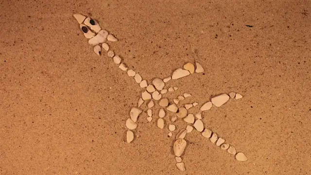 ictiosaurio hecho con piedras sobre la arena