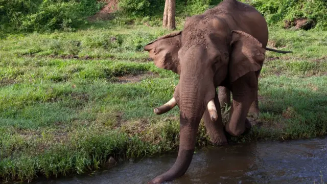 கோப்புப் படம்