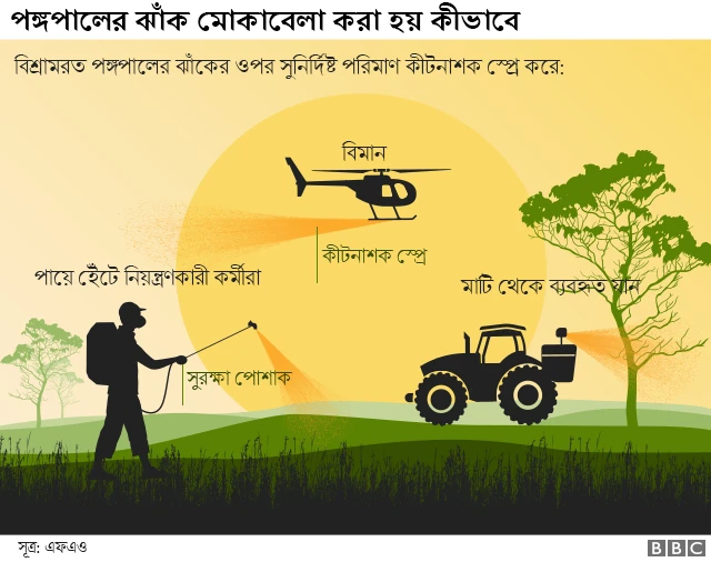 পঙ্গপাল ধ্বংসের প্রক্রিয়া