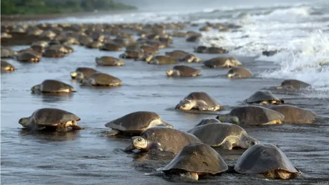 फ़ाइल फ़ोटो