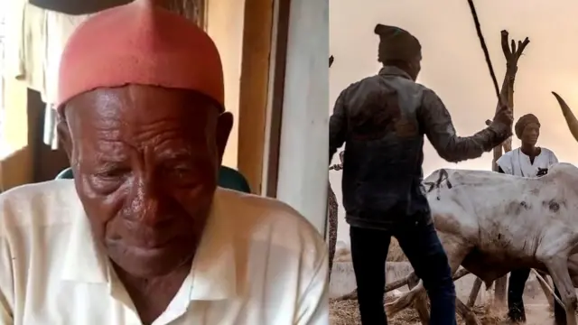 Eze Patrick na ndị ọchị ehi