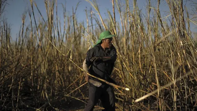 Trabajadores de la caña en Nicaragua