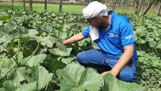 संजय त्रिपाठी