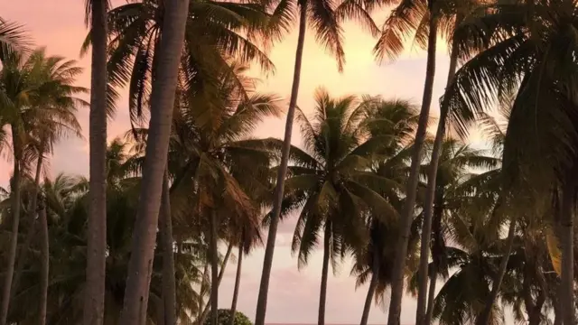 ट्रेवेल, डिस्अप्वाइंटमेंट आइलैंड्स